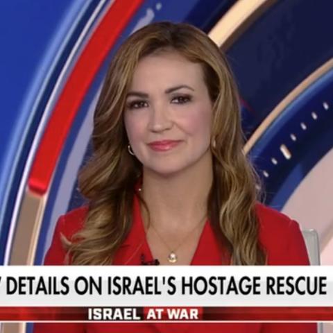(Screenshot via Fox News)