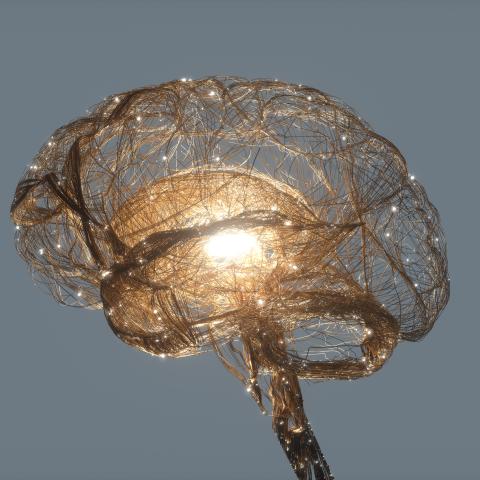 Cognitive Competition, Conflict, and War: An Ontological Approach
