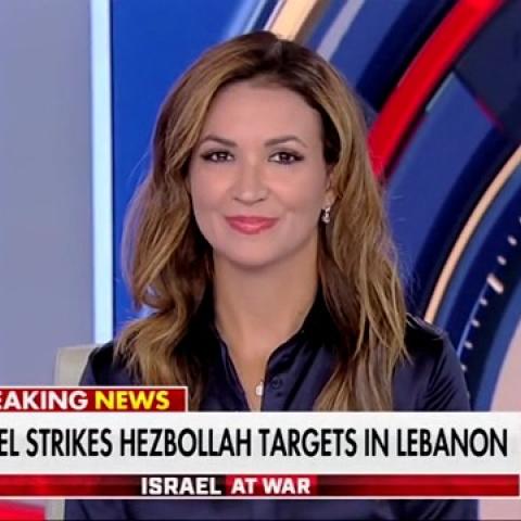 (Screenshot via Fox News)
