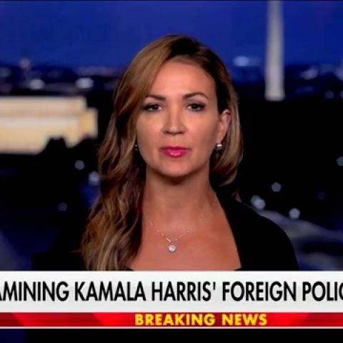 (Screenshot via Fox News)