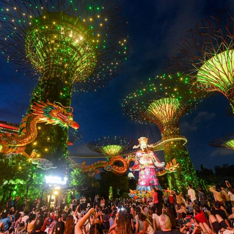 Visitors watch a show with at Gardens by the Bay in Singapore on February 7, 2024. (Roslan Rahman/AFP via Getty Images)