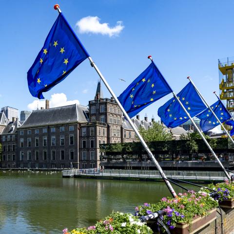 European flags are displayed in The Hague on June 5, 2024. (Nick Gammon/AFP via Getty Images)