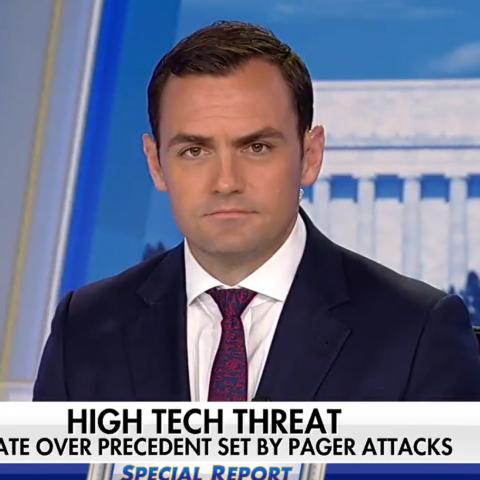 (Screenshot via Fox News)