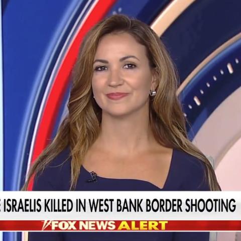 (Screenshot via Fox News)