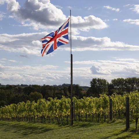 The Union Flag flies above Exton Park vineyard in Southampton, England. (Dan Kitwood via Getty Images)