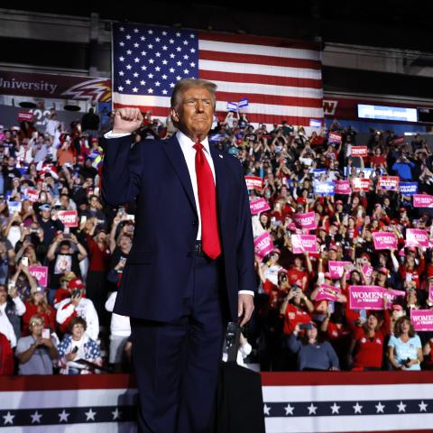 Donald Trump holds up a fist at a campaign rally on November 4, 2024, in Reading, Pennsylvania. (Chip Somodevilla via Getty Images)