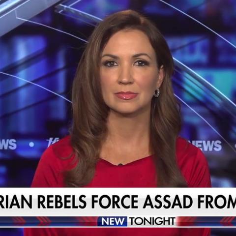 (Screenshot via Fox News)