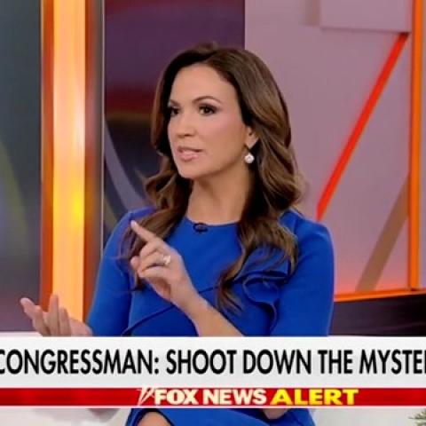 (Screenshot via Fox News)