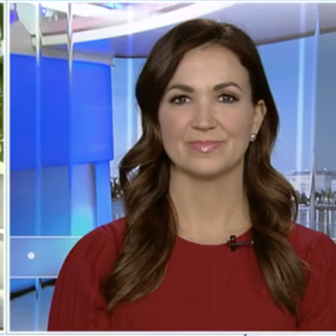 (Fox News Screenshot)