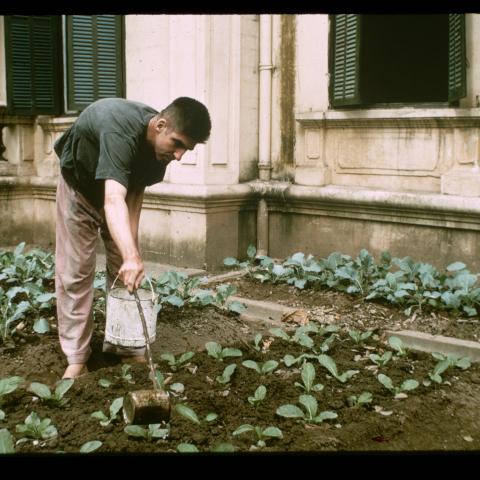 Somewhere in North Vietnam- US Navy Lieutenant Commander Richard Allen Stratton waters vegetables in a North Vietnamese prisoner-of-war camp on Christmas Day, 1968. (Bettmann via Getty Images)