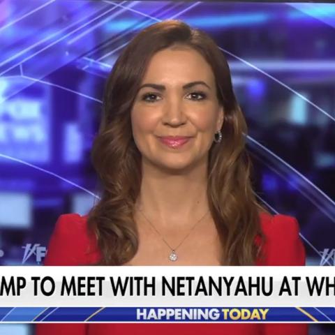 (Screenshot via Fox News)