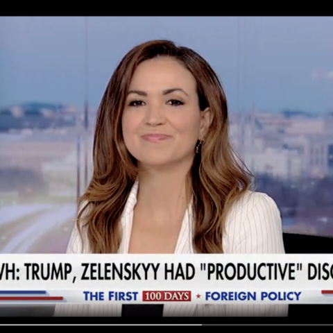 (Fox News Screenshot)