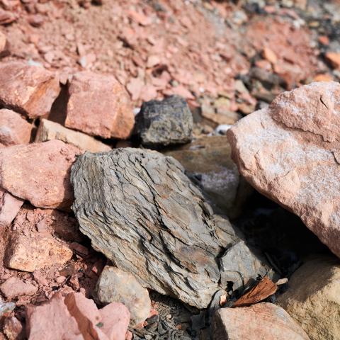 A terrikon, a towering mound of mining waste, rises near a coal mine on February 22, 2025, in Donetsk Region, Ukraine. (Pierre Crom via Getty Images)