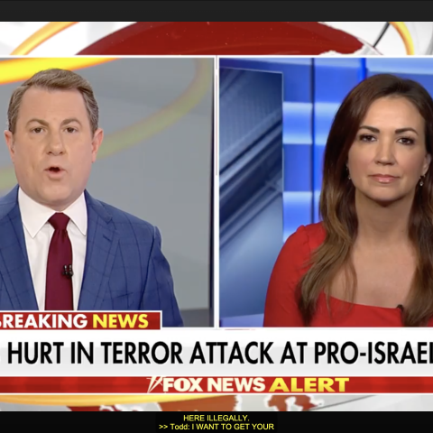 (Fox News Screenshot)