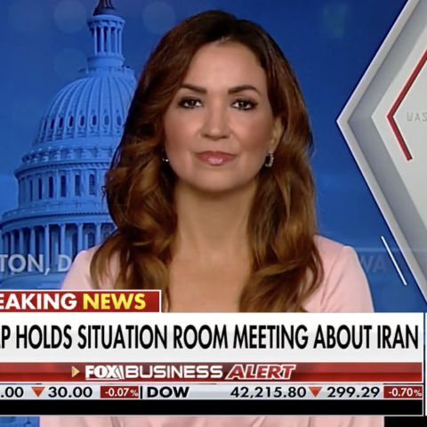 (Fox News Screenshot)