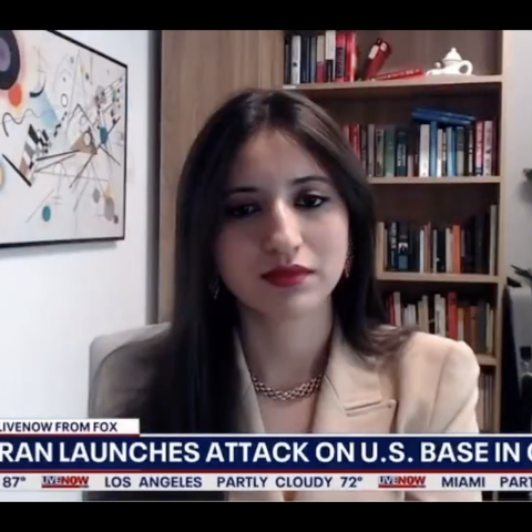(Fox News Screenshot)