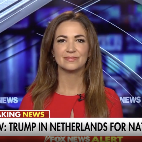 (Fox News Screenshot)