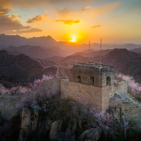Wild peach and apricot flowers are in full bloom in Yanqing District, encircling the Longquanyu  Great Wall on March 25, 2025, in Beijing. (Hao Jihong via Getty Images)