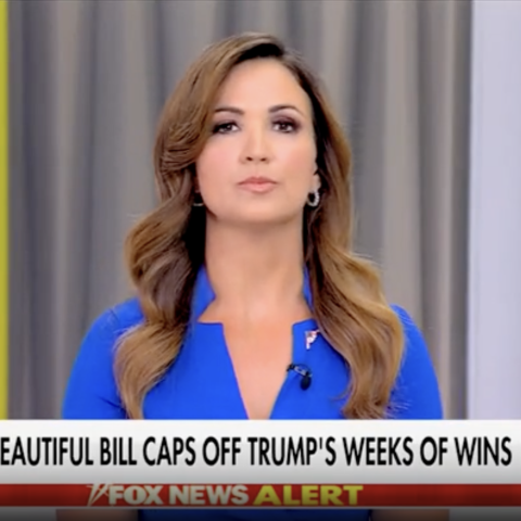 (Screenshot via Fox News)