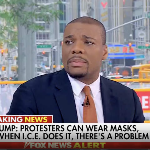 (Screenshot via Fox News)