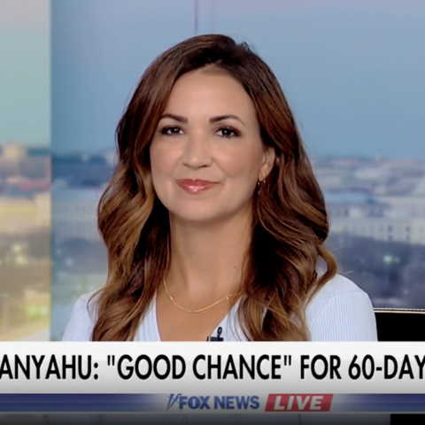 (Fox News Screenshot)