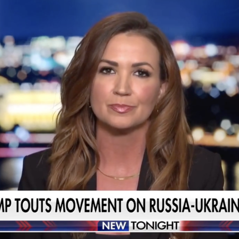 (Screenshot via Fox News)