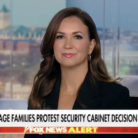 (Screenshot via Fox News)