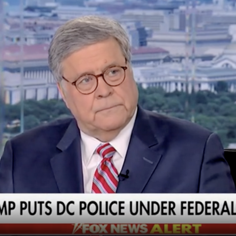 (Screenshot via Fox News)