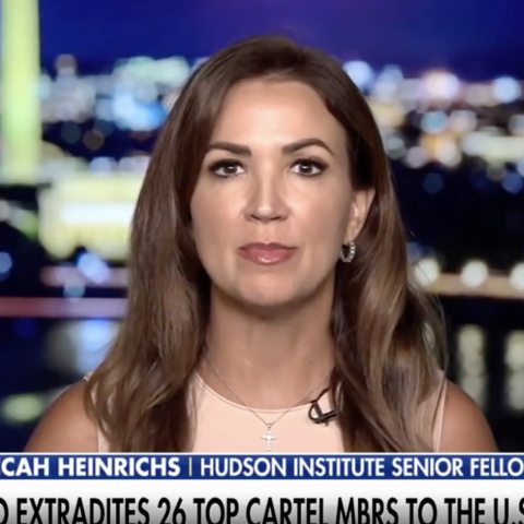 (Screenshot via Fox News)