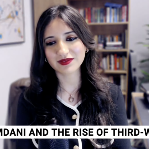 esearch Fellow Zineb Riboua describes what the term Third-Worldism means and how it’s impacting societies on Sky News