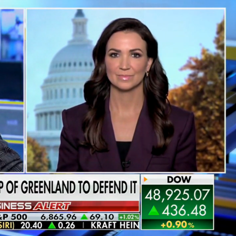 Rebeccah Heinrichs on Fox business
