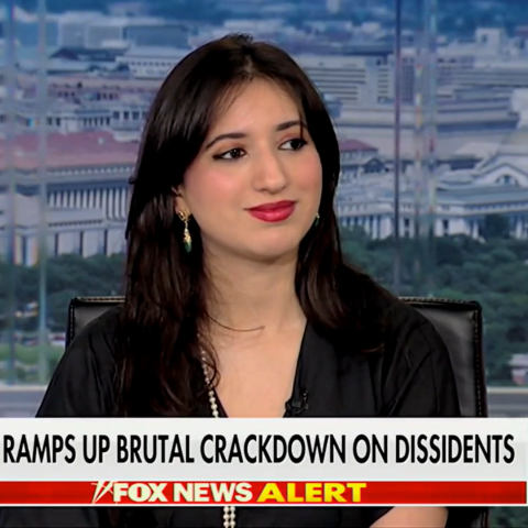 (Zineb Riboua on fox )