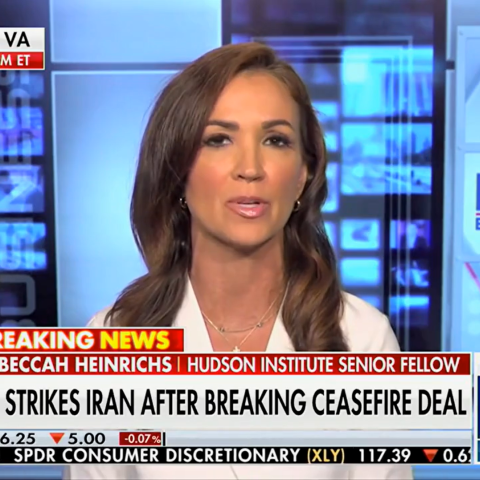 Screenshot via fox news