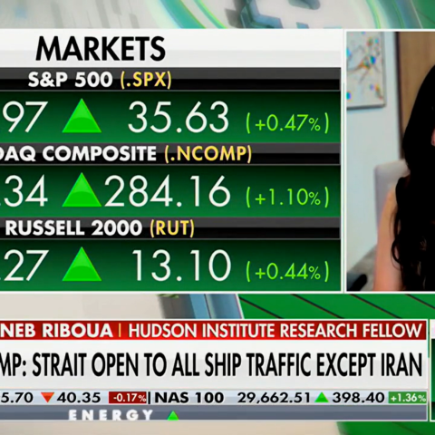 zineb on fox news