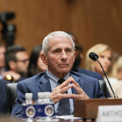 Former National Institutes of Health Director Anthony Fauci during a hearing with the Senate Homeland Security and Governmental Affairs Committee on July 29, 2026, in Washington, DC. (Getty Images)