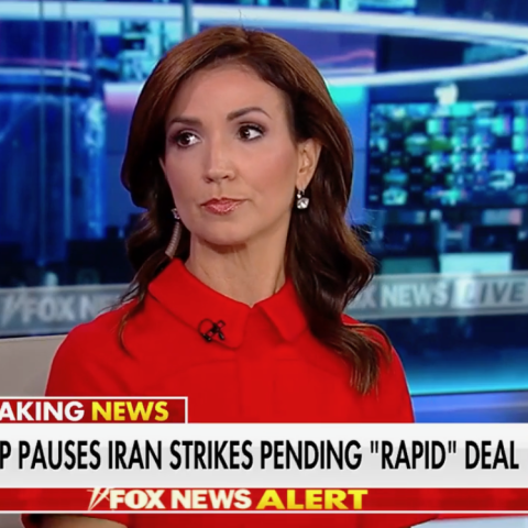 (Screenshot via Fox News)