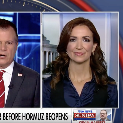 (Screenshot via Fox News)