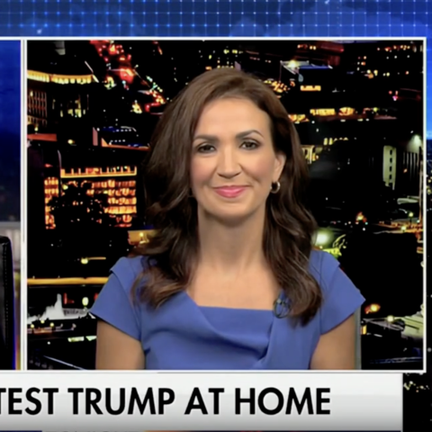 (Screenshot via Fox News)