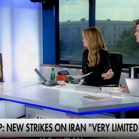 (Screenshot via Fox News)