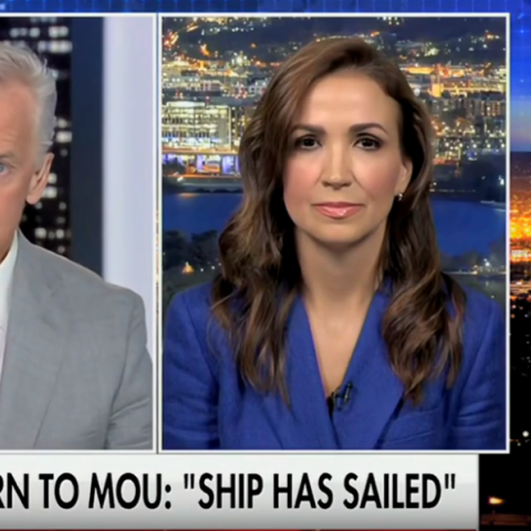 (Screenshot via Fox News)