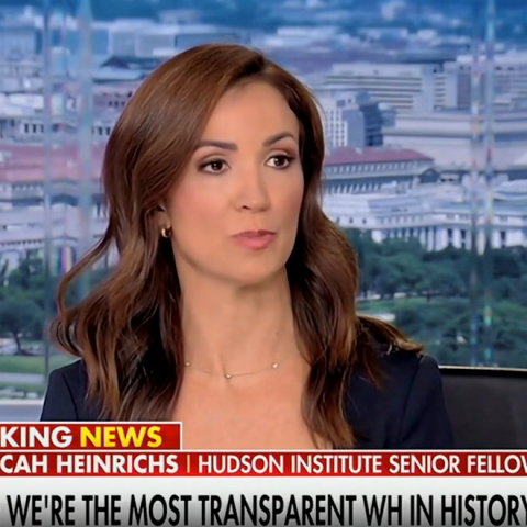 (Screenshot via Fox News)
