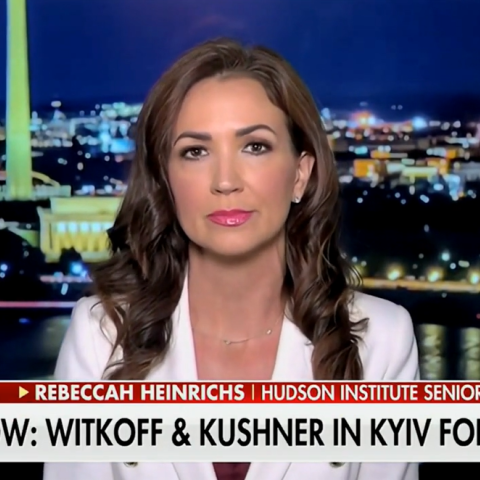 (Screenshot via Fox News)