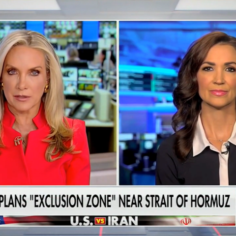 (Screenshot via Fox News)