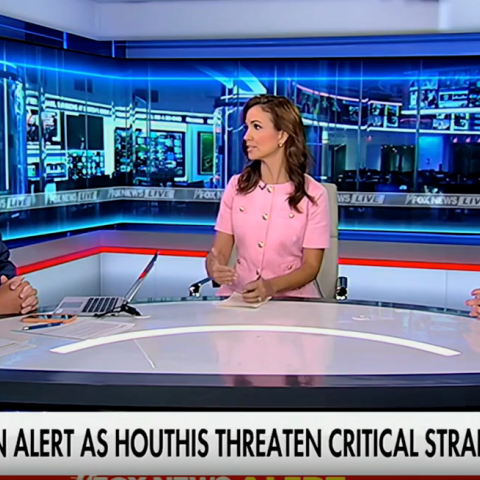(Screenshot via Fox News) 