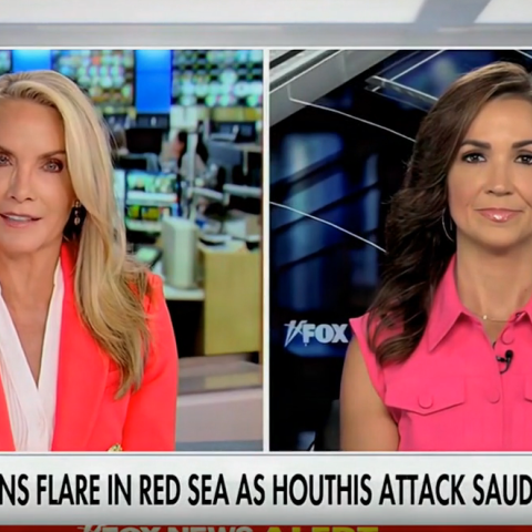 (Screenshot via Fox News)