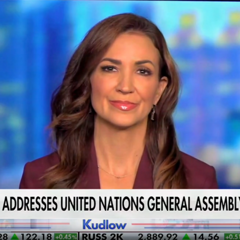 (Screenshot via Fox Business)