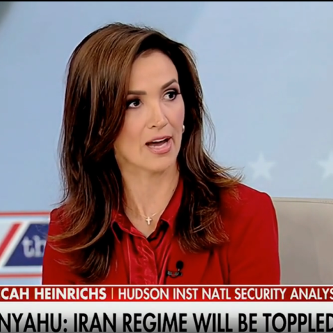 (Screenshot via Fox News)