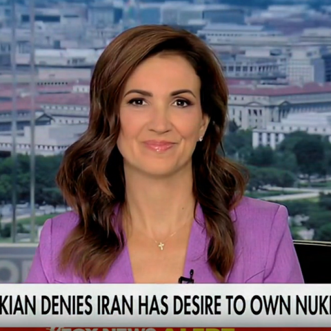 (Screenshot via Fox News)