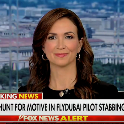 (Screenshot via Fox News)