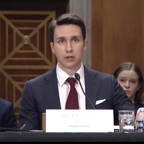 (Screenshot via Senate Foreign Relations Committee)
